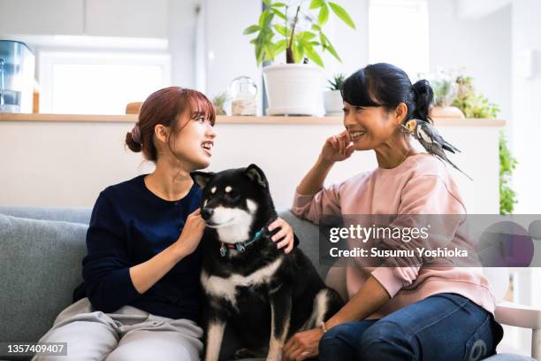 mother and daughter relaxing with their pets in the living room of their home. - 茅ヶ崎市 fotografías e imágenes de stock