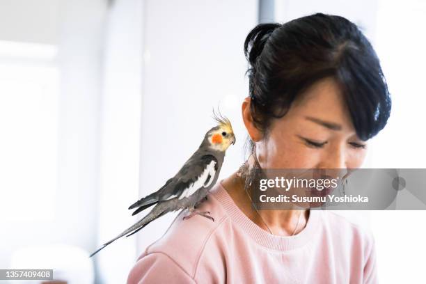 mother and daughter relaxing with their pets in the living room of their home. - ara stock pictures, royalty-free photos & images