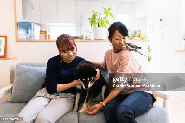 mother and daughter relaxing with their pets in the living room of their home. - 茅ヶ崎市 fotografías e imágenes de stock