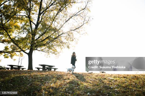 a young woman walking with her dog in a park in autumn. - black boot fotografías e imágenes de stock