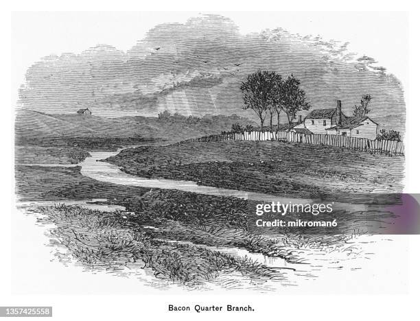 old engraved illustration of bacons quarter branch, river in virginia - civil war illustration stock pictures, royalty-free photos & images