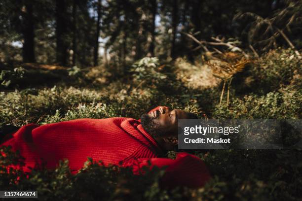 man sleeping while relaxing on plants in forest - västra götaland county stock pictures, royalty-free photos & images