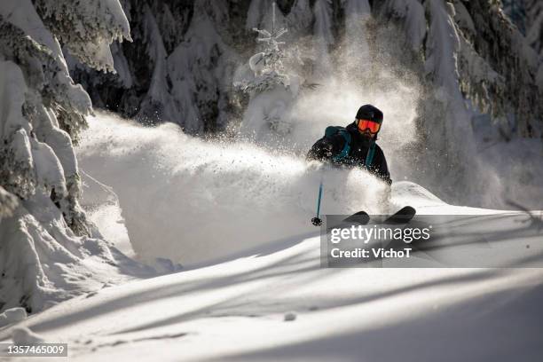 freeride skier shredding deep fresh powder snow in a winter forest - coberto de neve imagens e fotografias de stock