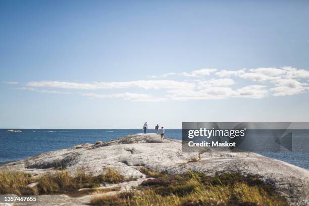 female and male friends spending leisure time at island during summer vacation - skärgård bildbanksfoton och bilder