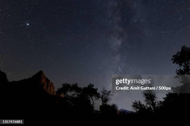 low angle view of silhouette of trees against sky at night,zion national park,utah,united states,usa - zion national park stock pictures, royalty-free photos & images