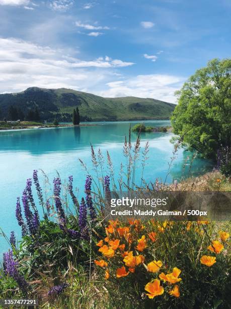 lake tekapo,scenic view of lake against cloudy sky,new zealand - maddy gaiman stock pictures, royalty-free photos & images