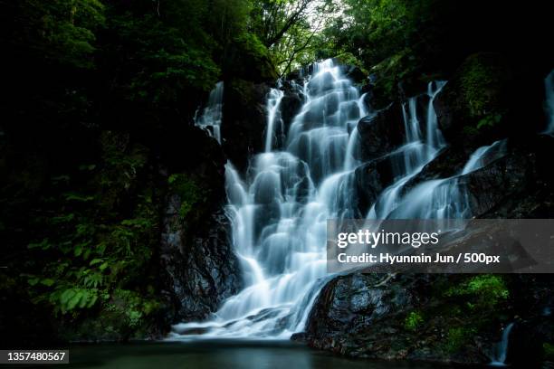 shiraito waterfall,scenic view of waterfall in forest,itoshima,fukuoka,japan - prefectura de fukuoka fotografías e imágenes de stock