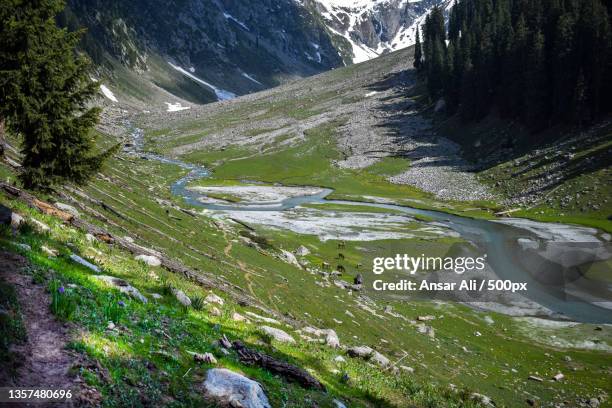 kund banda meadows,upper dir,kpk,pakistan,scenic view of stream amidst mountains,khyber pakhtunkhwa - pakistanische nordwestprovinz stock-fotos und bilder