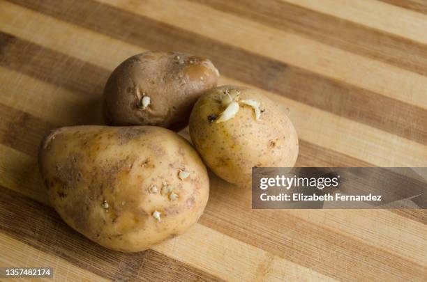 sprouted potatoes on wooden cutting board - patata fotografías e imágenes de stock