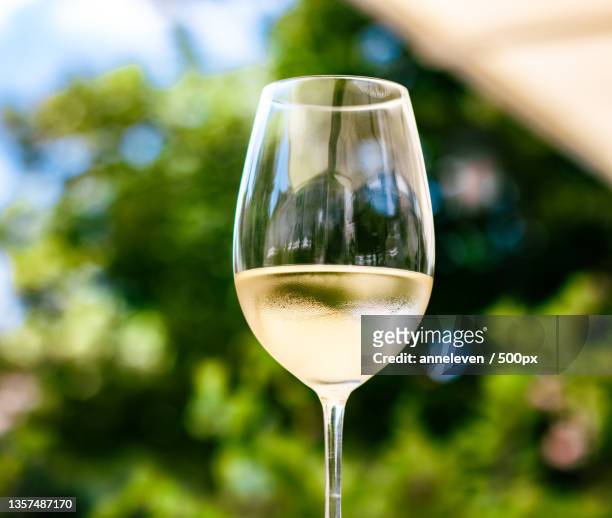 white wine in luxury restaurant on summer garden terrace,wine tasting - pinot grigio wine foto e immagini stock