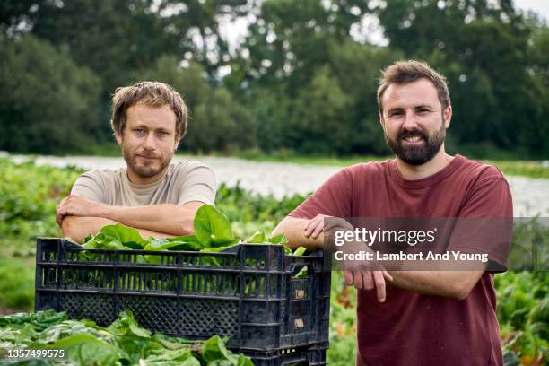 organic vegetable growers posing during the harvest in the summer - rural community stock pictures, royalty-free photos & images
