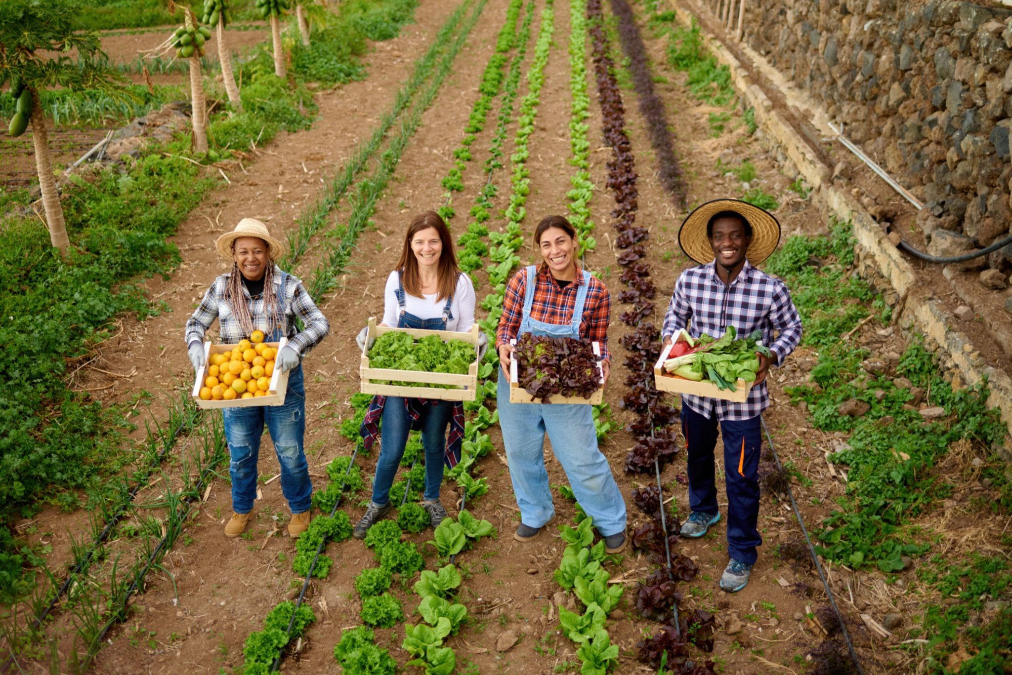 diverse plant selection