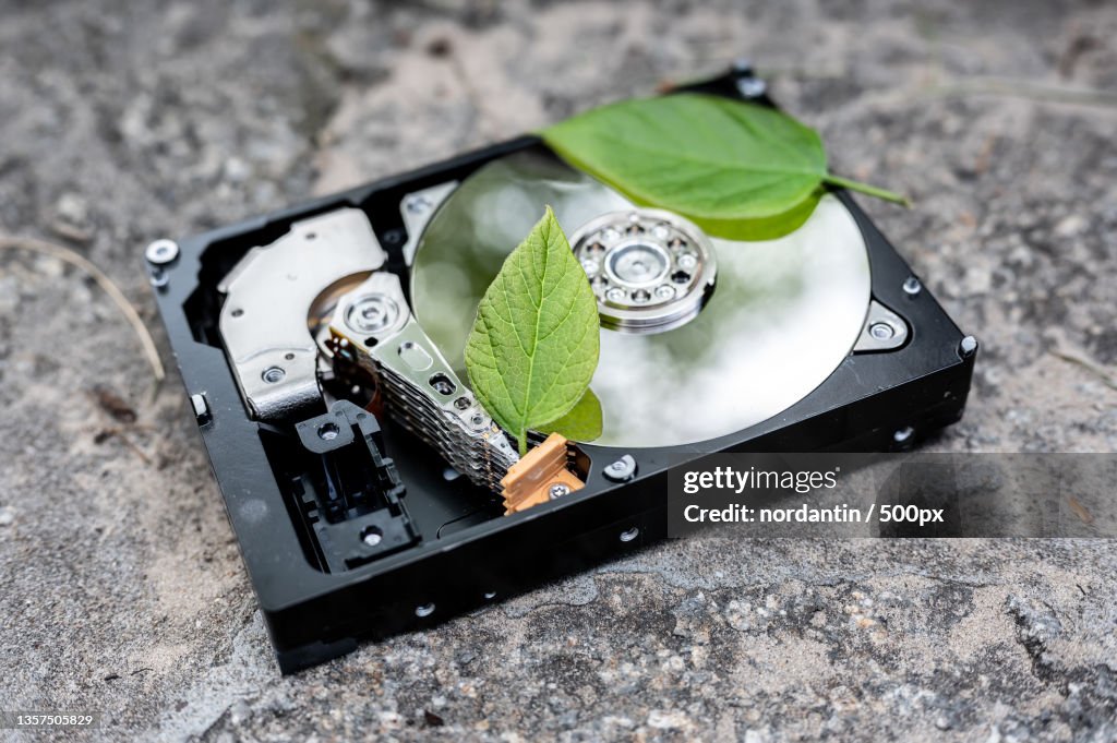 Hard disk drive with chia leaf on a concrete surface