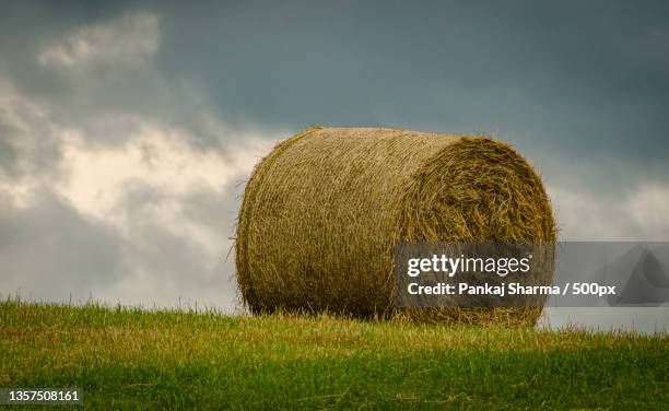 hay roll,scenic view of field against sky,united kingdom,uk - bal odlad bildbanksfoton och bilder