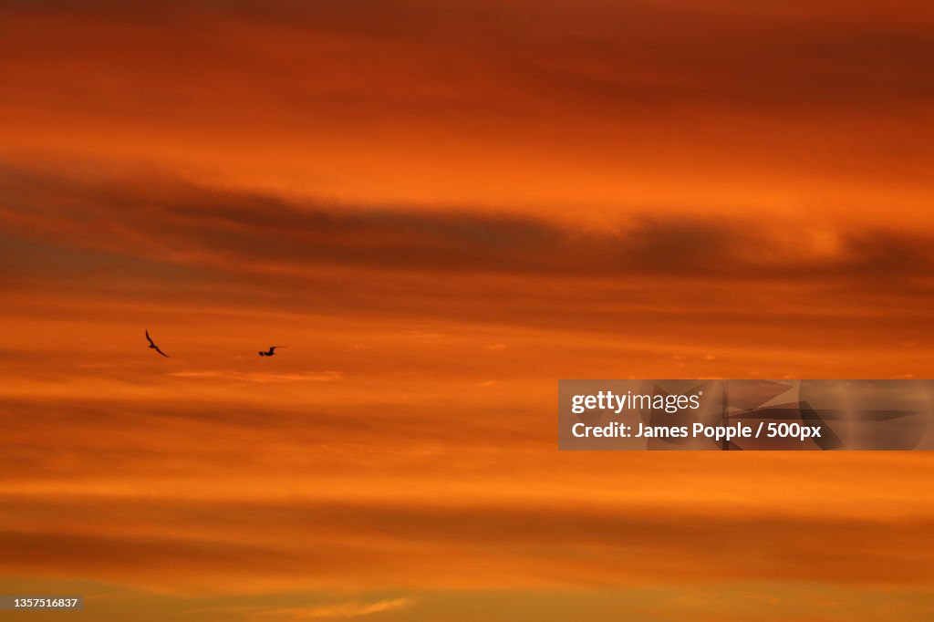 Glenelg South,Adelaide,The kite flying around sun in japan,S Esplanade,South Australia,Australia