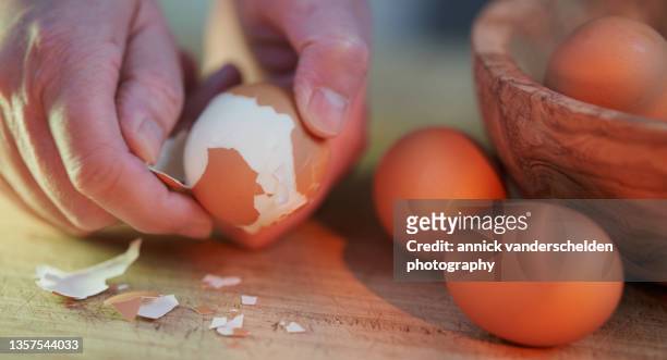 peeling eggs - hard boiled eggs stock-fotos und bilder