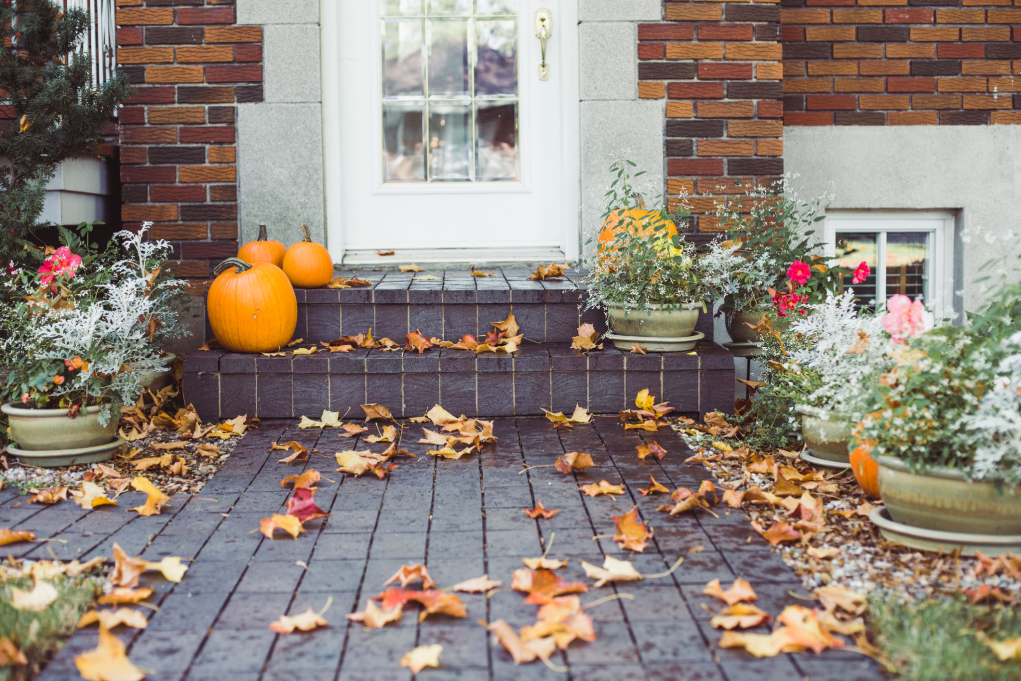 home protection autumn