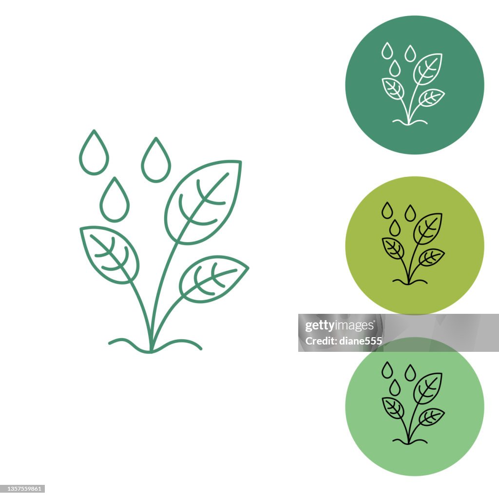 Plant Garden Thin Line Icon - Water Sapling