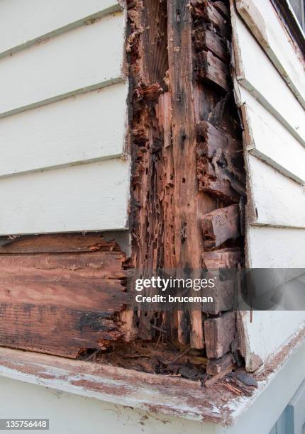 Rotten Wood Stock-Fotos und Bilder - Getty Images