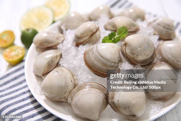 fixed makeup photos of white clam food products - corbicula clam stock-fotos und bilder