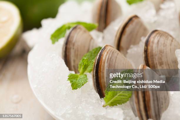 white clam (white clam) food picture fixed makeup photo - corbiculidae fotografías e imágenes de stock
