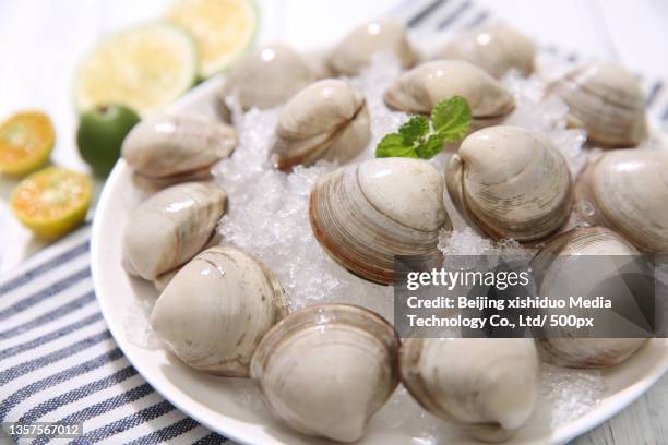 white clam (white clam) food picture fixed makeup photo - corbicula clam stock-fotos und bilder