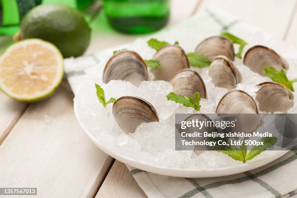 white clam (white clam) food picture fixed makeup photo - corbiculidae fotografías e imágenes de stock