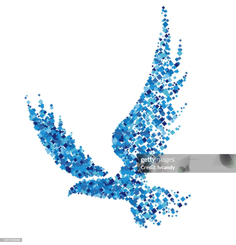 Fragmente Adler