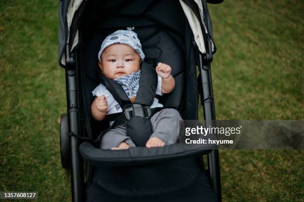 kleiner junge im kinderwagen und spazierengehen im öffentlichen park - baby pram in the park stock-fotos und bilder