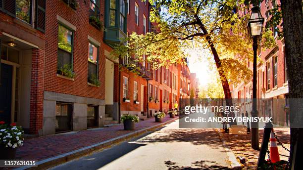 calm american street. brick. sun. tree. flower. - new england usa 個照片及圖片檔