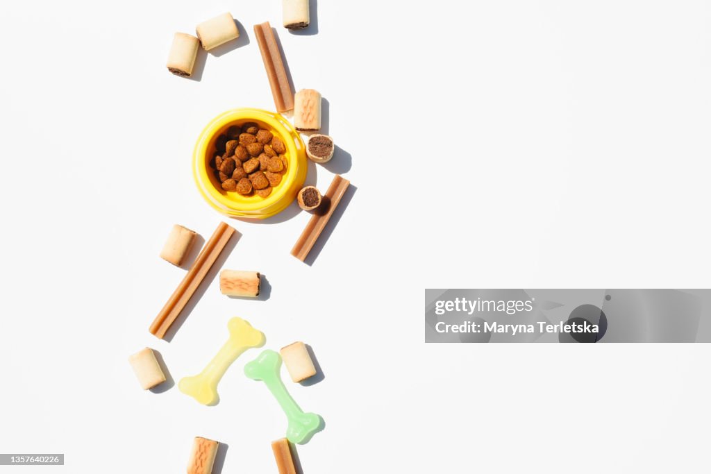 Flat lay of dog accessories on a white background.