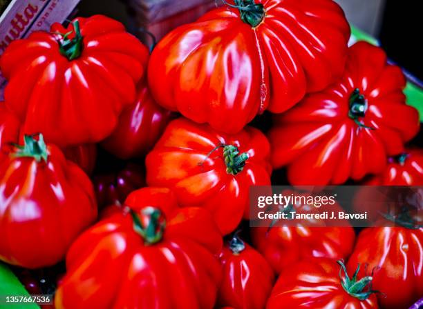 italian beef tomatoes - beefsteak tomato stock pictures, royalty-free photos & images