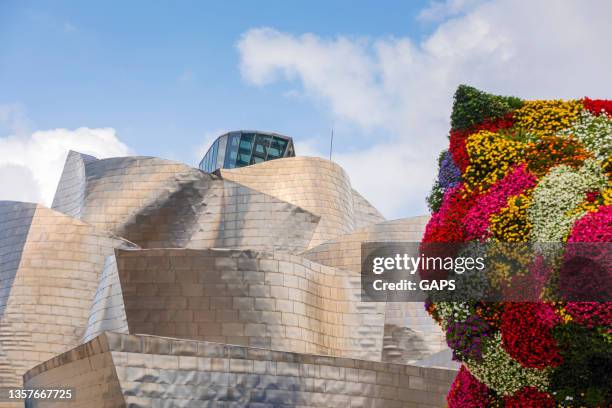 fachada del museo guggenheim de bilbao - bilbao fotografías e imágenes de stock