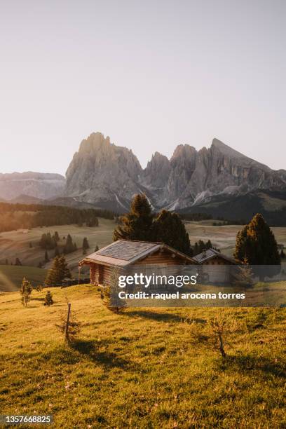 alpe de siusi at sunrise - seiser alm stock-fotos und bilder