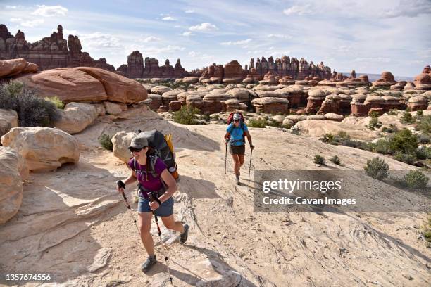 two female hikers crossing canyonlands national park, moab, utah, usa - canyonlands national park bildbanksfoton och bilder