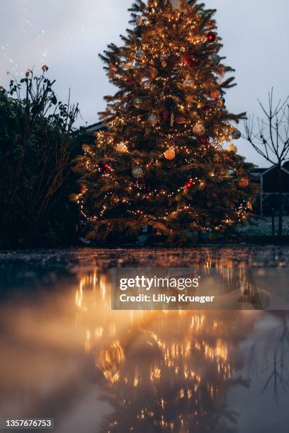 Christmas Refection 6,614 Christmas Lights Reflection Stock Photos, High-Res Pictures, and ...