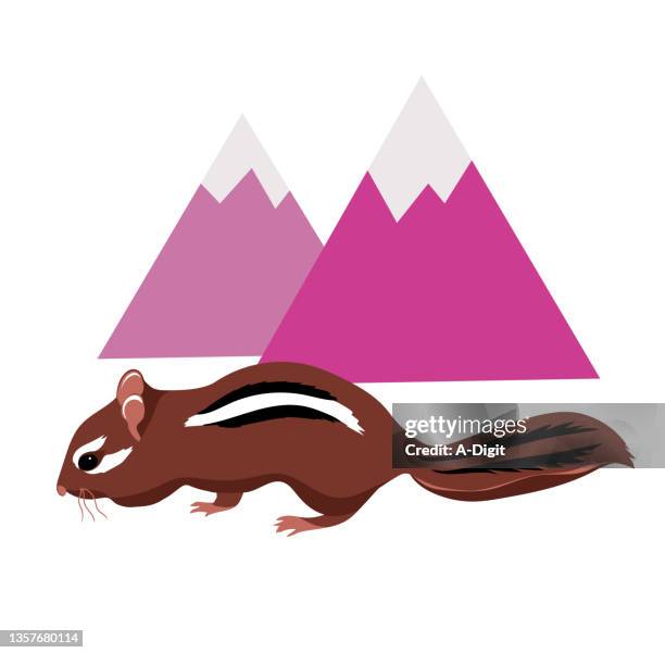chipmunk icon pink - fuchsia flower stock illustrations