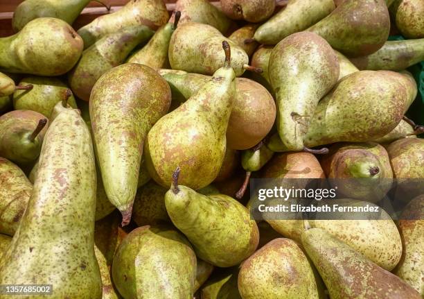 conference pears - pear stock pictures, royalty-free photos & images