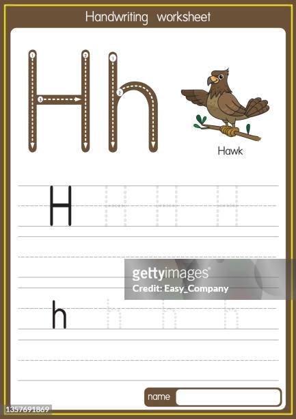 vektorillustration von hawk mit alphabetbuchstaben h großbuchstaben oder großbuchstaben für kinder lernübung abc - wide shot stock-grafiken, -clipart, -cartoons und -symbole