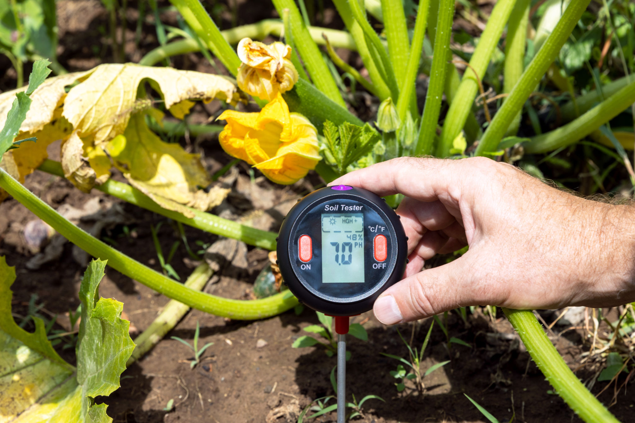soil testing kit