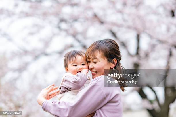 mother and her small daughter enjoying their time during spring time sakura cherry blossom trees season in nature - cherry kiss 個照片及圖片檔