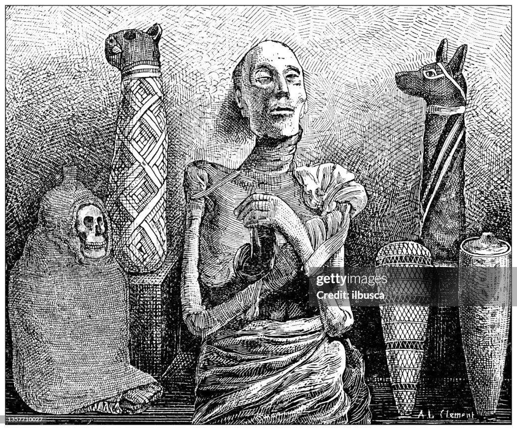 Antique illustration: Ancient mummies