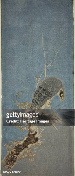 Falcon Perched on a Tree, circa 1785. Artist Isoda Koryusai.