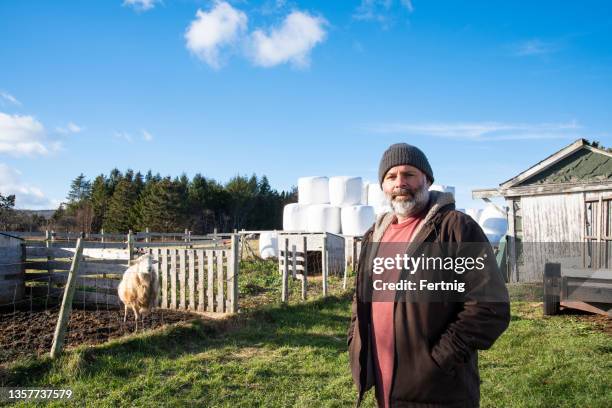 a farmer by a sheep pen - schapenboerderij stockfoto's en -beelden