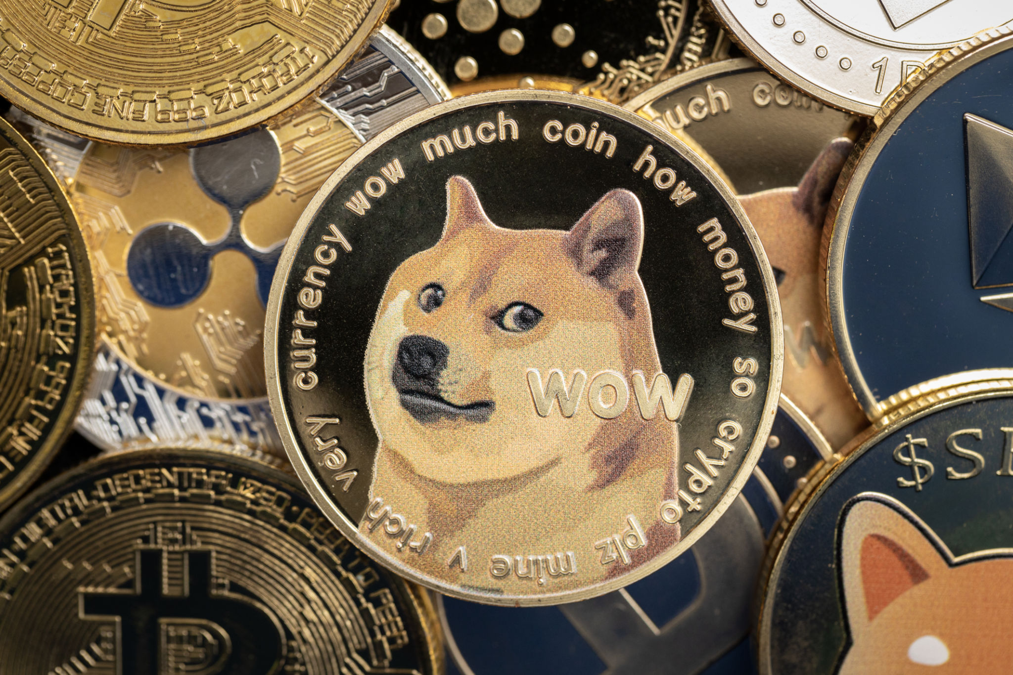 Dogecoin cryptocurrency coin close-up, on top of other cryptocurrency coins Dogecoin cryptocurrency coin close-up, on top of other cryptocurrency coins