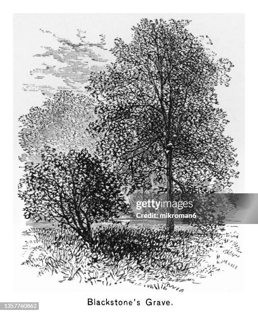 old engraved illustration of grave of william blaxton (also spelled william blackstone) - william blackstone stock pictures, royalty-free photos & images
