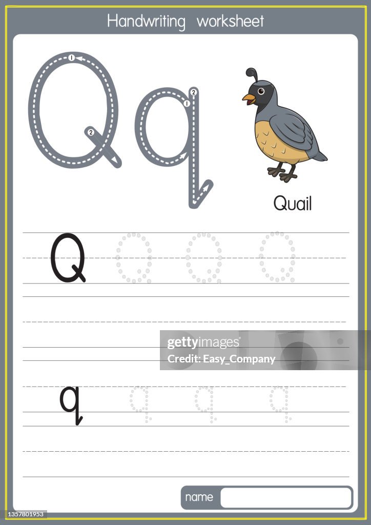 Vector illustration of Quail with alphabet letter Q Upper case or capital letter for children learning practice ABC