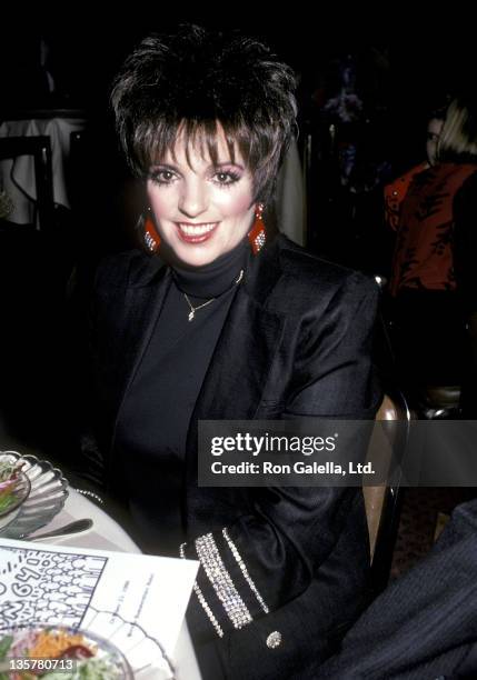 Actress/Singer Liza Minnelli attends "Vote No on 64!" Dinner to Raise Awareness Against Lyndon LaRouche's AIDS Initiative Bill on October 22, 1986 at...