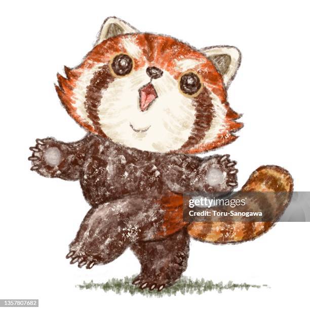 Panda Roux Powerpoint 74 Panda Roux High Res Illustrations - Getty Images