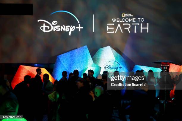 Screening Of Walt Disney - Fotografias e Filmes do Acervo - Getty Images